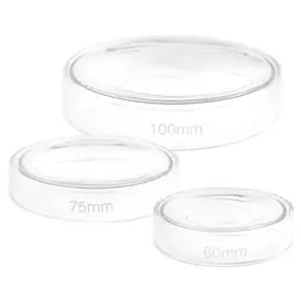 Petrischaal Glas met deksel 75mm