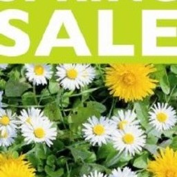 Raambiljet thema SPRING SALE 50x94cm