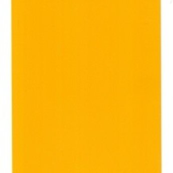 Apli PVC labels 54x108 mm geel dikte 0,20mm 2 gaten 5mm, afgeronde hoeken, doosinhoud  1000 stuks.<br />
<br />
UITVOERING >>  Speciaal voor klant door de midden gesneden tot  54x54 mm  met boorgat