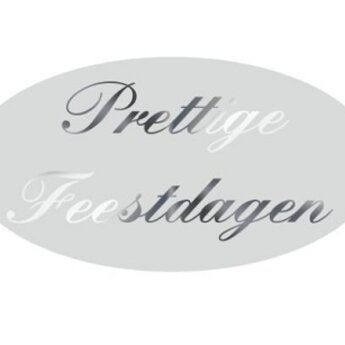 Gelegenheidsetiketten - Prettige Feestdagen - zilver/zilver ovaal 40x21 mm 500/rol