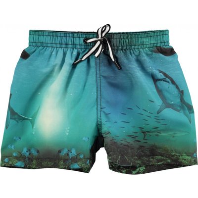 Molo shorts Surfer on the Board