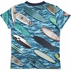 Molo shirt Surfboards