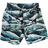 Molo swimming shorts Whales