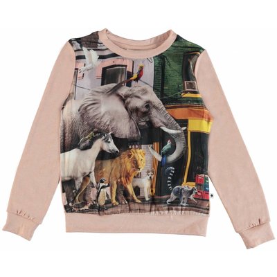 Molo shirt Animals of the World