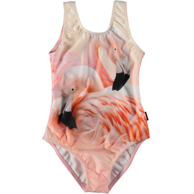 Molo swimming suit Flamingo Dream