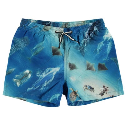 Molo swim shorts Above Ocean