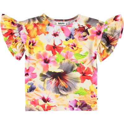 Molo shirt Pacific Floral