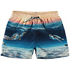 Molo zwemshort Sea Turtle Sunset