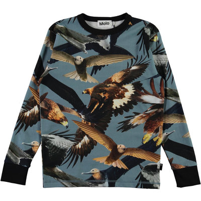 Molo shirt ls Birds