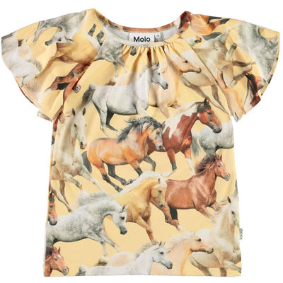 Molo shirt ss Horse Dreams