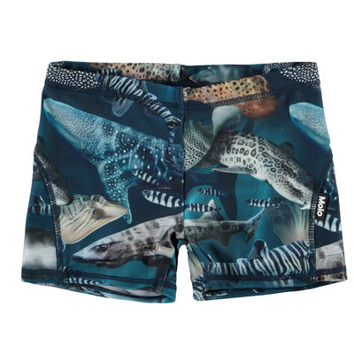 Molo swimming trunks Amazing Sharks