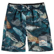 Molo swimming shorts Amazing Sharks