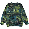 Molo sweater Dino Night