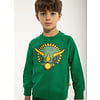 DYR sweater Triceratops green