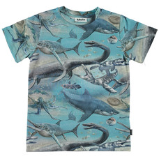 Molo shirt ss Ancient Seas