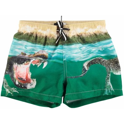 Molo shorts Crocodile