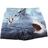 Molo shorts Shark Attack