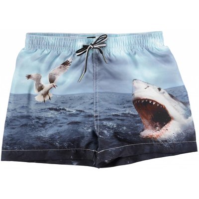 Molo shorts Shark Attack