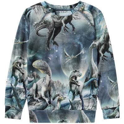 Molo shirt ls Dinosaure