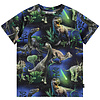 Molo shirt ss Dinorama