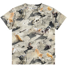Molo shirt ss Moon Dogs