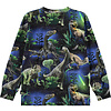 Molo shirt ls Dinorama