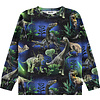 Molo shirt ls Dinorama
