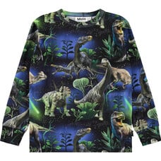 Molo shirt ls Dinorama