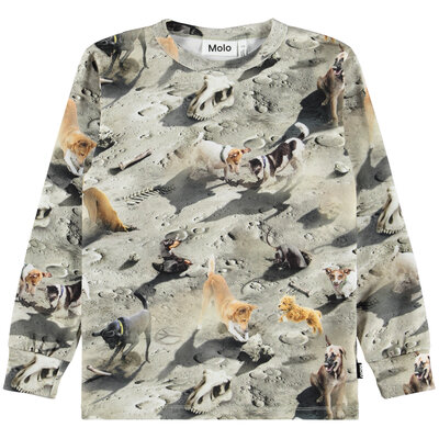 Molo shirt ls Moon Dogs