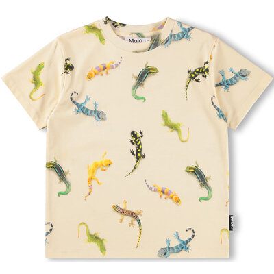 Molo shirt ss Gecko light
