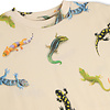 Molo shirt ss Gecko light