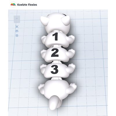 KoelzKidz3D Flexi 1-3 segments