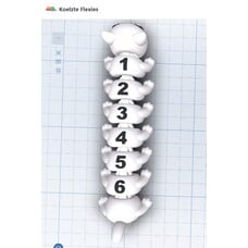 KoelzKidz3D Flexi 4-6 segmenten