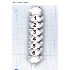 KoelzKidz3D Flexi 4-6 segments
