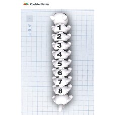 KoelzKidz3D Flexi 7-8 segments
