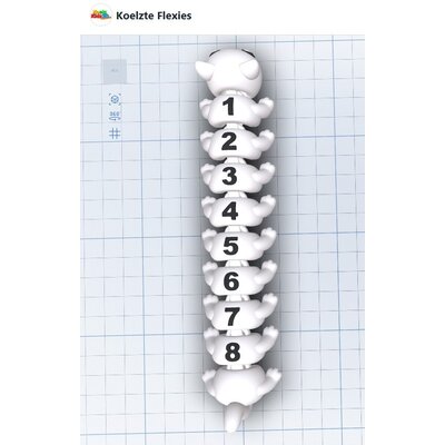 KoelzKidz3D Flexi 7-8 segmenten