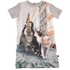 Molo tunic Paris Cats