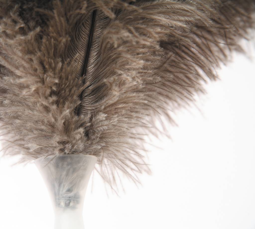 Struisvogel Plumeau met telescoopsteel