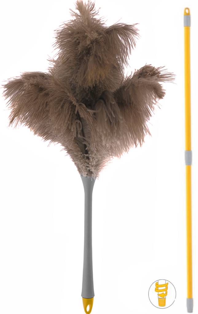 Struisvogel Plumeau met telescoopsteel