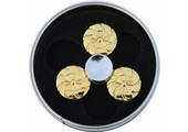 Hand spinner Exclusief Cirkels Goud