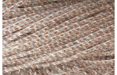 Vliegengordijn Medusa 100x220 cm. d. Bruin / transparant