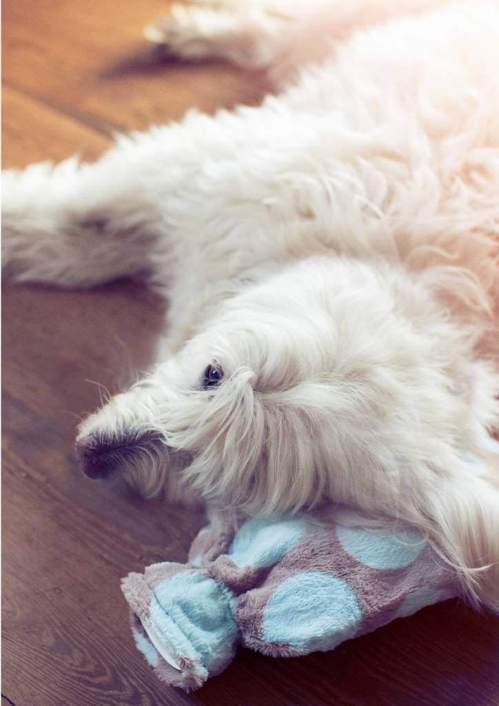 Warmwaterkruik 0,8 L. zachte velours stippen Warmwaterkruik 0,8 L. zachte velours stippen