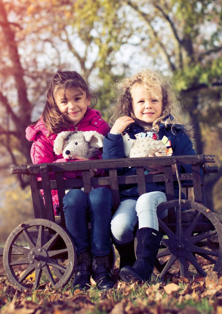 Warmteknuffel Muis met Koolzaadvulling