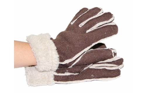 Handschoenen Dames Fleece / Pels Handschoenen Dames Fleece / Pels