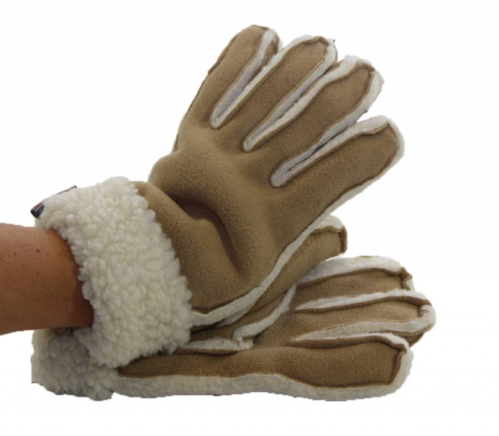 Handschoenen Dames Fleece / Pels Handschoenen Dames Fleece / Pels