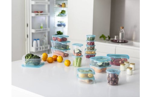 Vershouddozen Fresh & Go  (3 stuks)