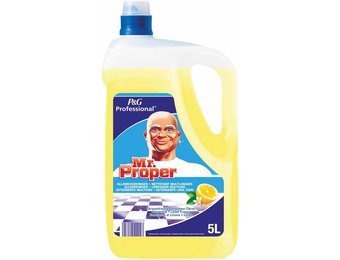 Allesreiniger citroenfris 5 Liter