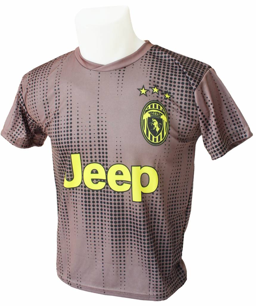 Voetbaltenue Ronaldo 2018-2019 Juventus "Uit" Voetbaltenue Ronaldo 2018-2019 Juventus "Uit"