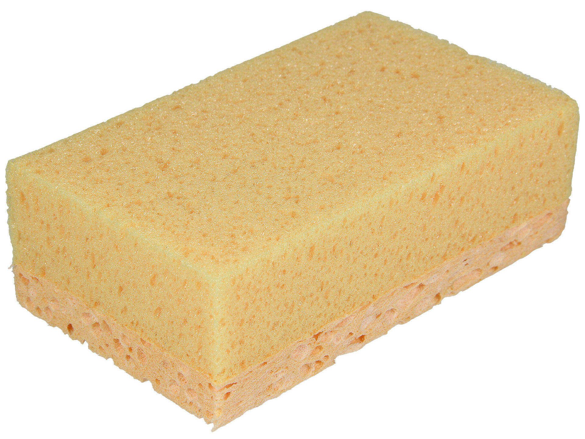 Cello Strong spons XL