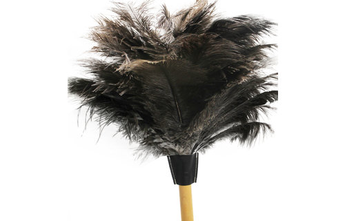 Struisvogel Plumeau Extra dik  met Extra lange houten steel  110 cm